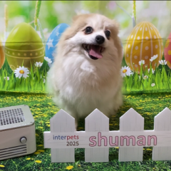 interpets 2025 東京ビッグサイト出展いたします!